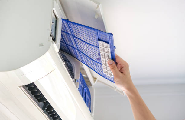 Air Duct Mold Removal in Johnsonburg, PA